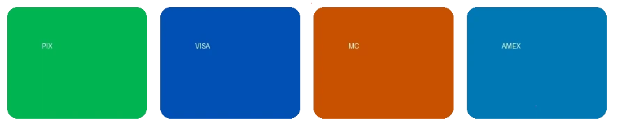 禁漫天堂支持的支付方式图标 - 包括PIX、VISA、万事达卡等